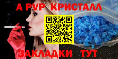 apvp Свободный